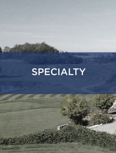 Specialty News